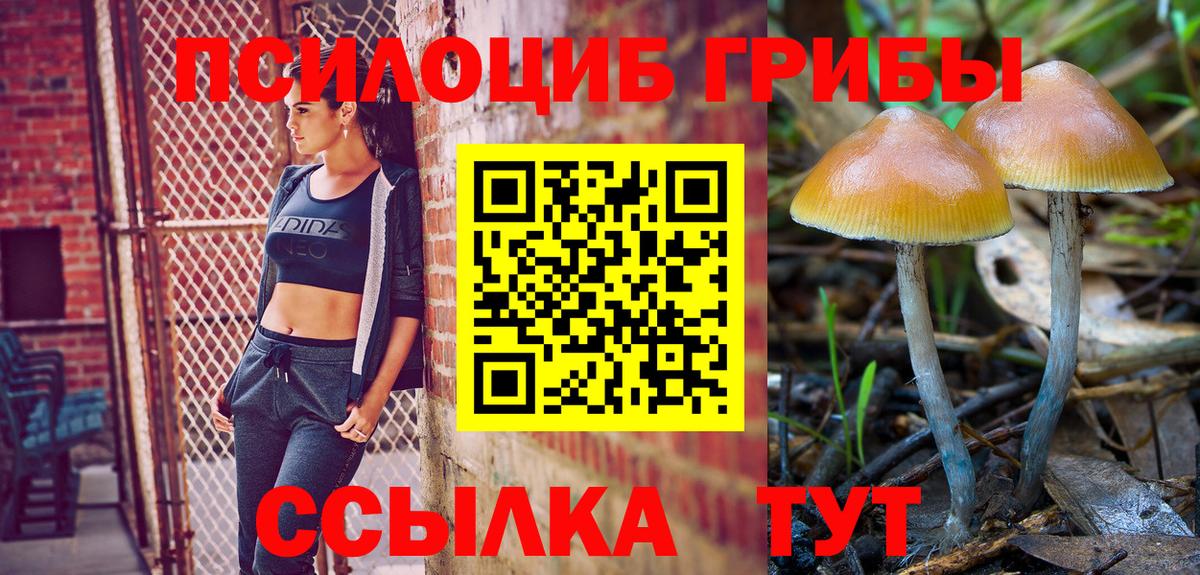 Галлюциногенные грибы прущие грибы Шадринск