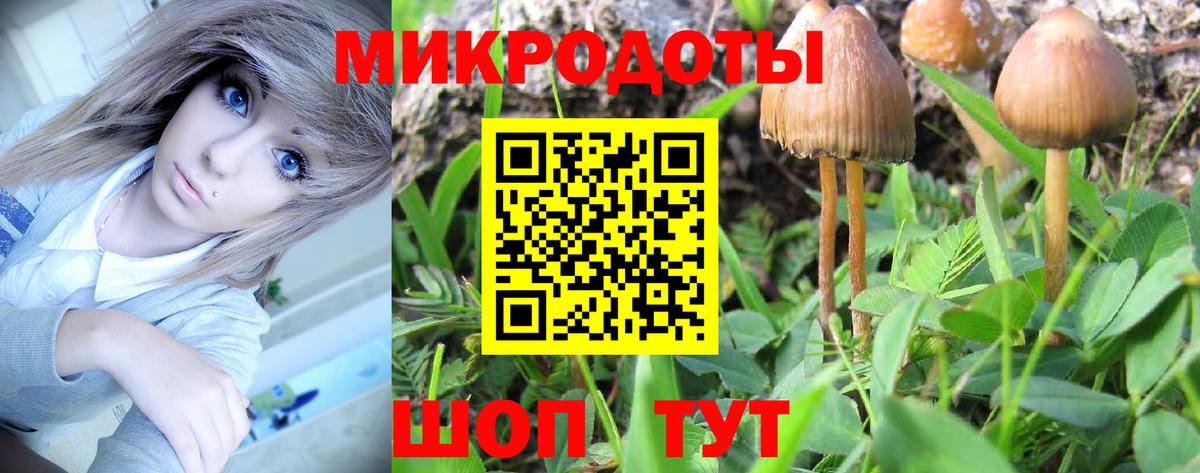 Шадринск  Галлюциногенные грибы GOLDEN TEACHER  Вход с VPN 